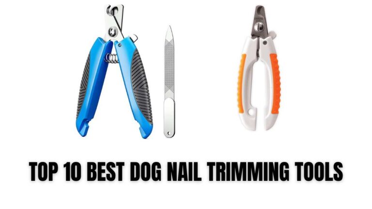 Read more about the article TOP 10 BEST DOG NAIL TRIMMING TOOLS