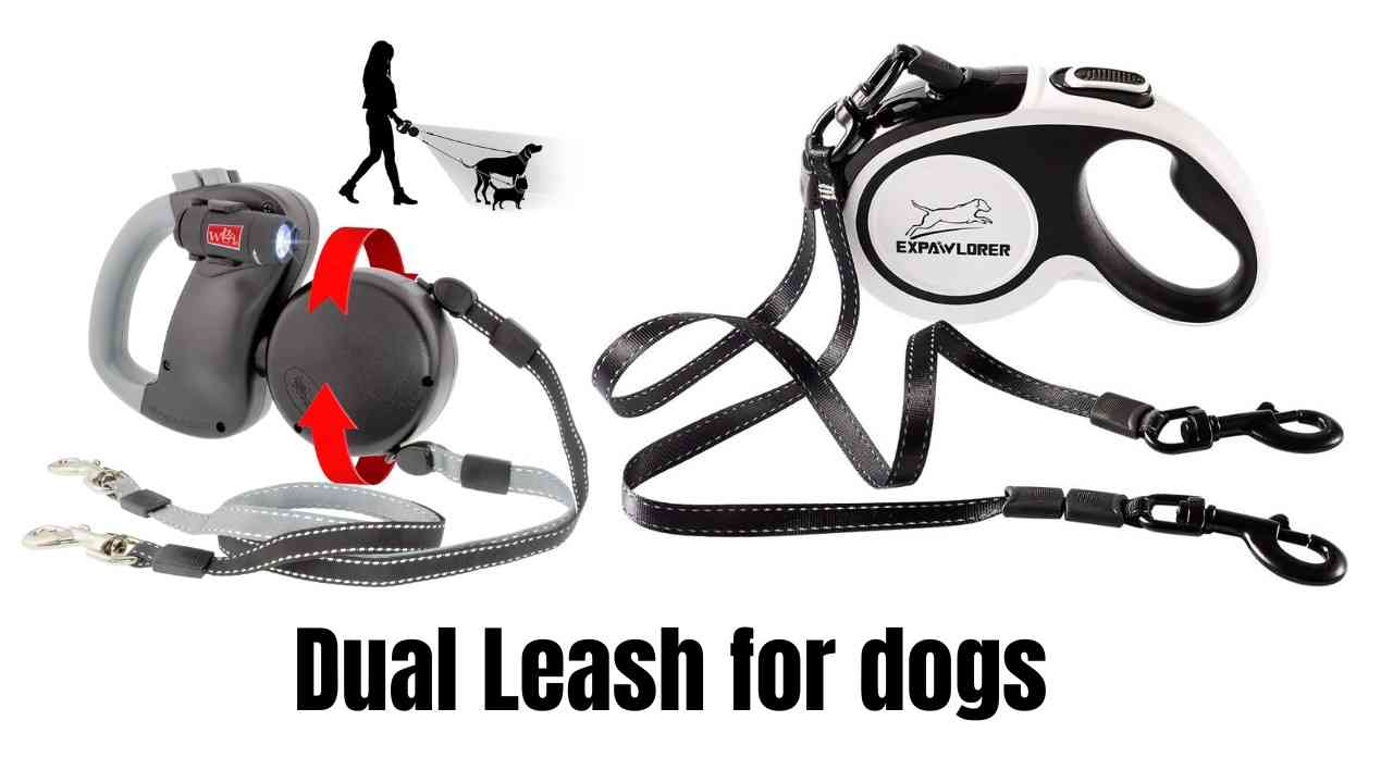 Dual Dog Leash