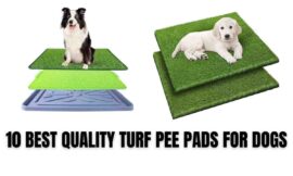 10 BEST QUALITY TURF PEE PADS FOR DOGS