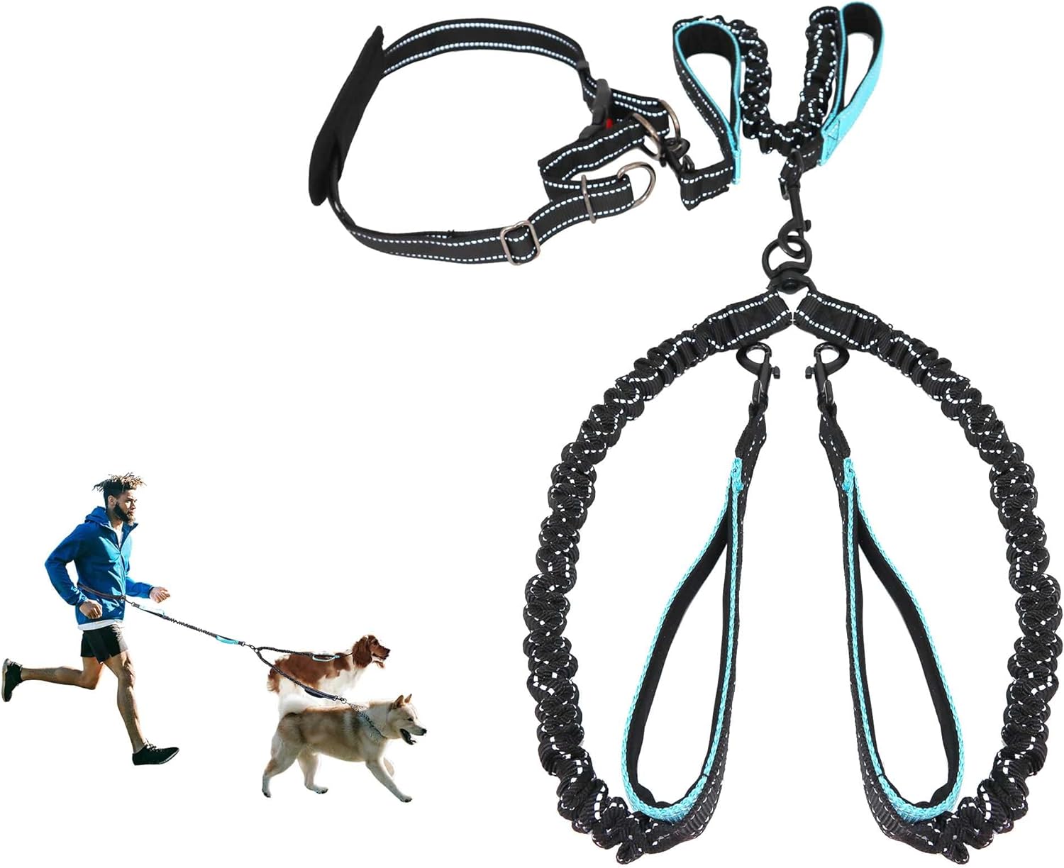 Hands Free Dog Leash_Dual Dog Leash