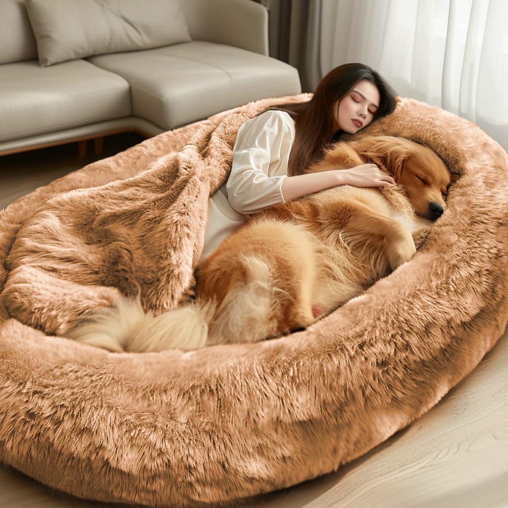 Human Sized Dog Bed_human dog bed Costco