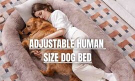 ADJUSTABLE HUMAN SIZE DOG BED: FULLY QUALITY TESTED AND REVIEWED