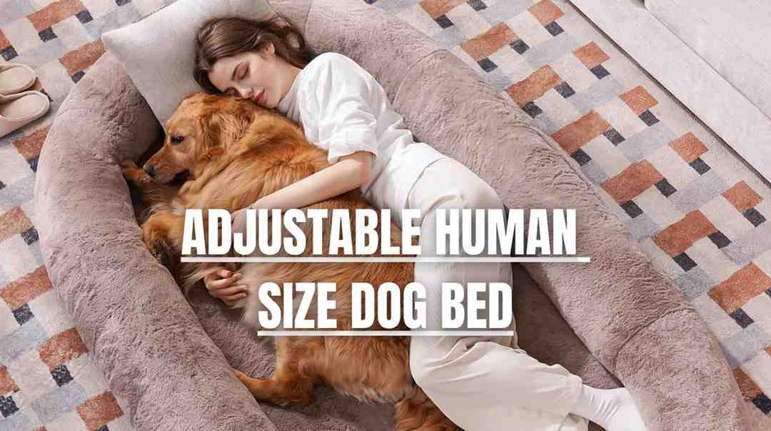 Human size dog bed