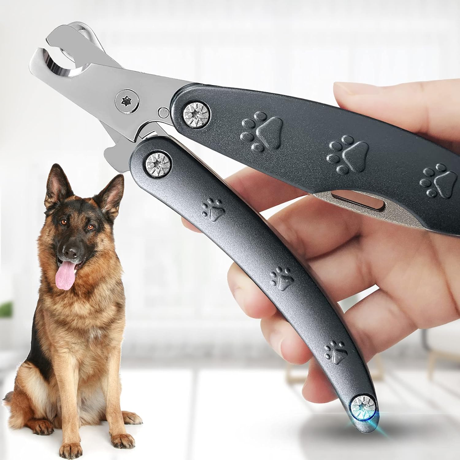 Smoothest Dog Nail Trimmers for Sensitive Dog_dog nail trim tools