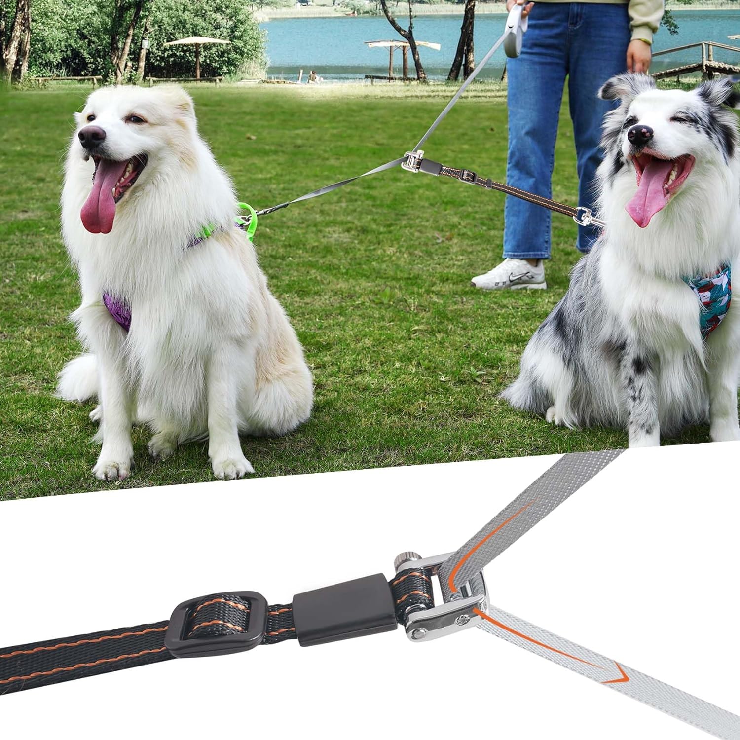 The Newest Two Dog Leash_Dual doggie retractable dog leash