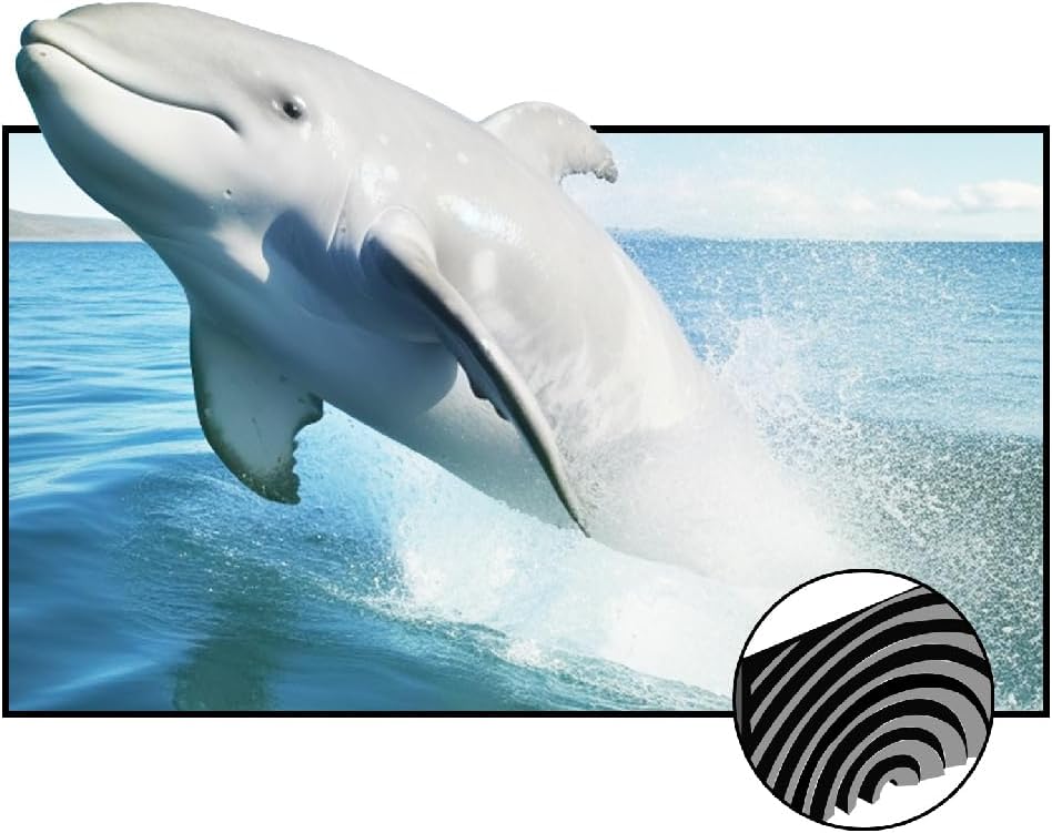 VIVIDSTROM CineVision Pro_100 inch rising projector screen