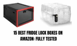 15 BEST FRIDGE LOCK BOXES ON AMAZON: FULLY TESTED