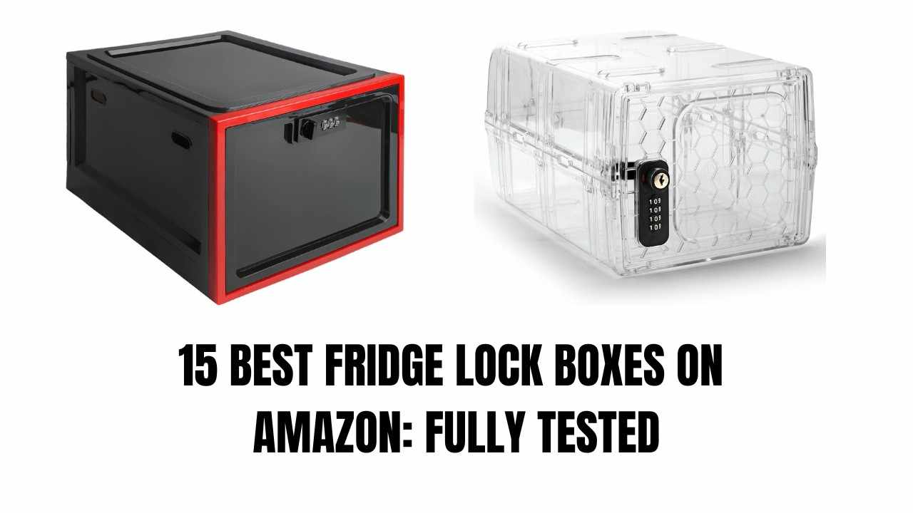 fridge lock box