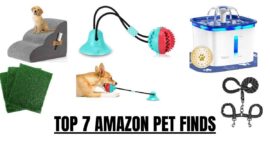 TOP 7 AMAZON PET FINDS