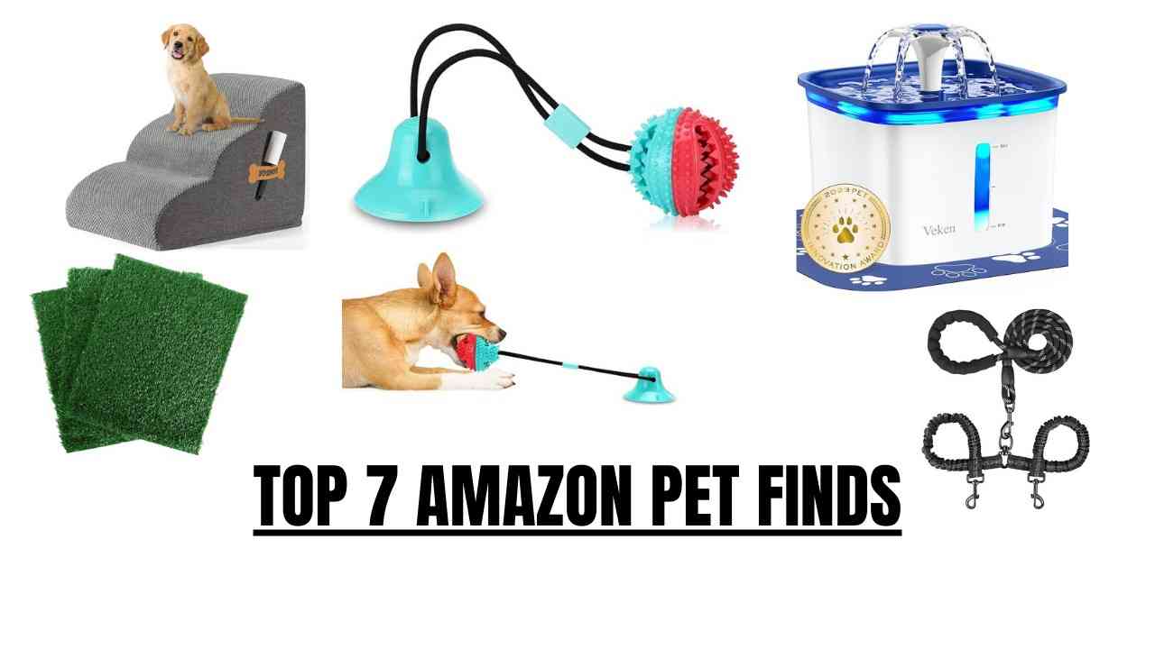 TOP 7 AMAZON PET FINDS